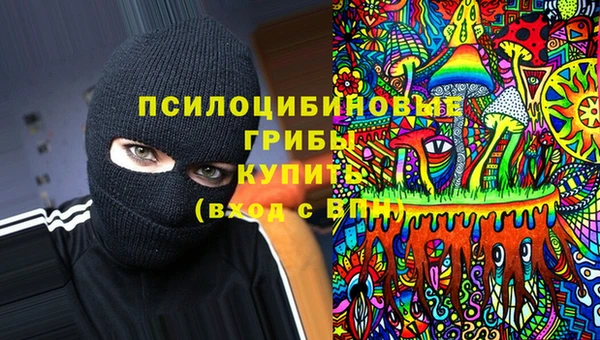 винт Михайлов