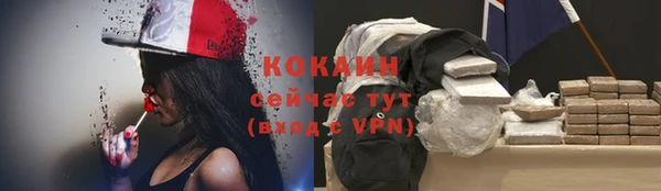 винт Михайлов